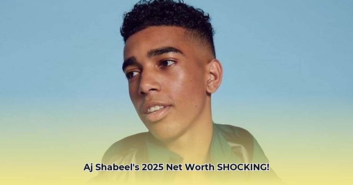 aj-shabeel-net-worth